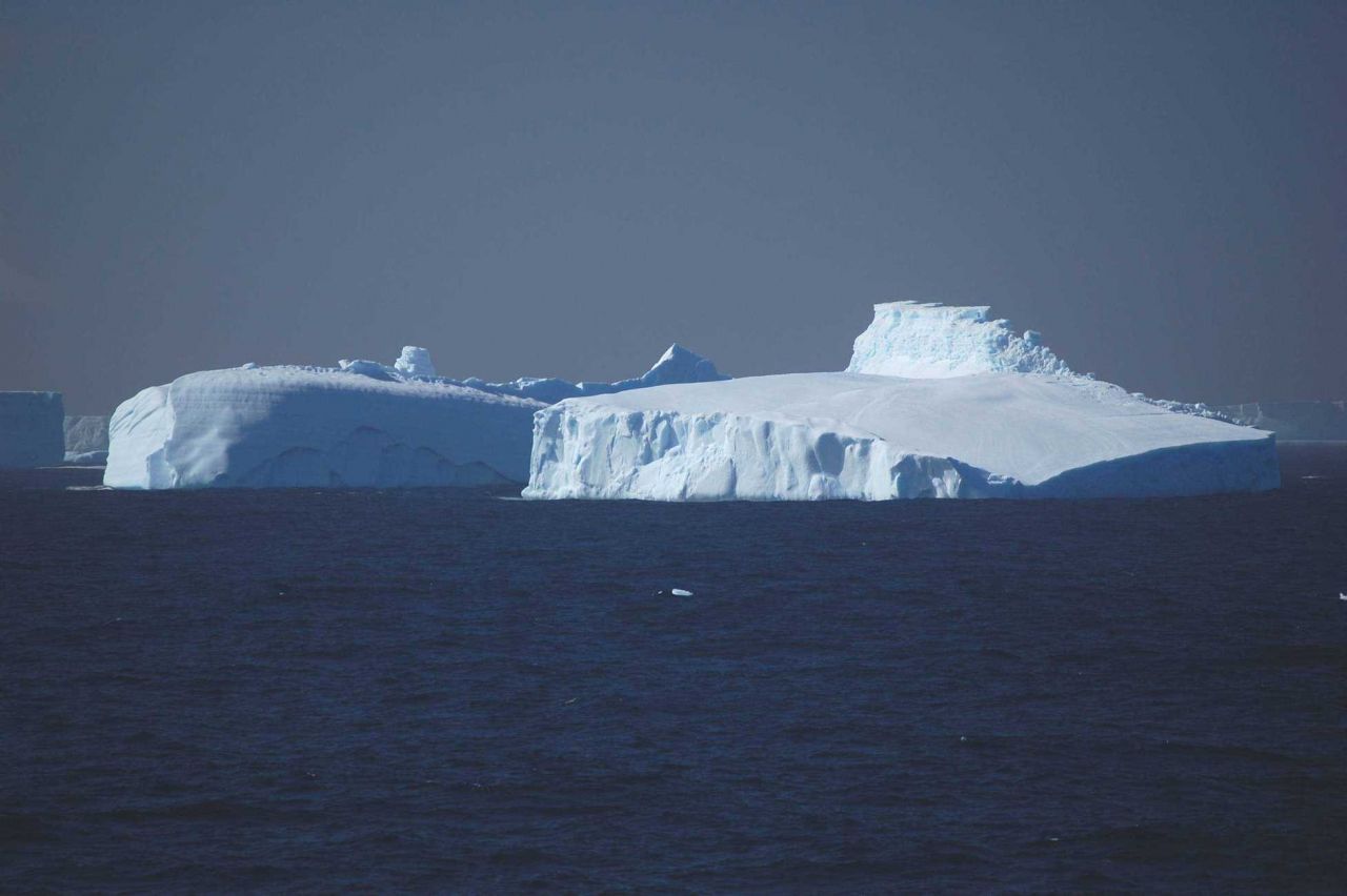 Icebergs Photo