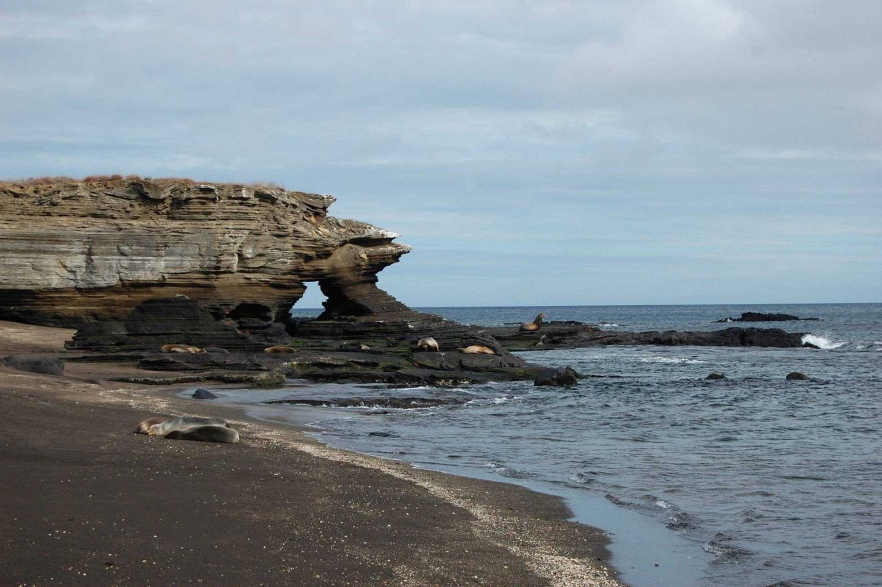 An interesting rock formation and sealions at James Bay, Santiago Island Photo