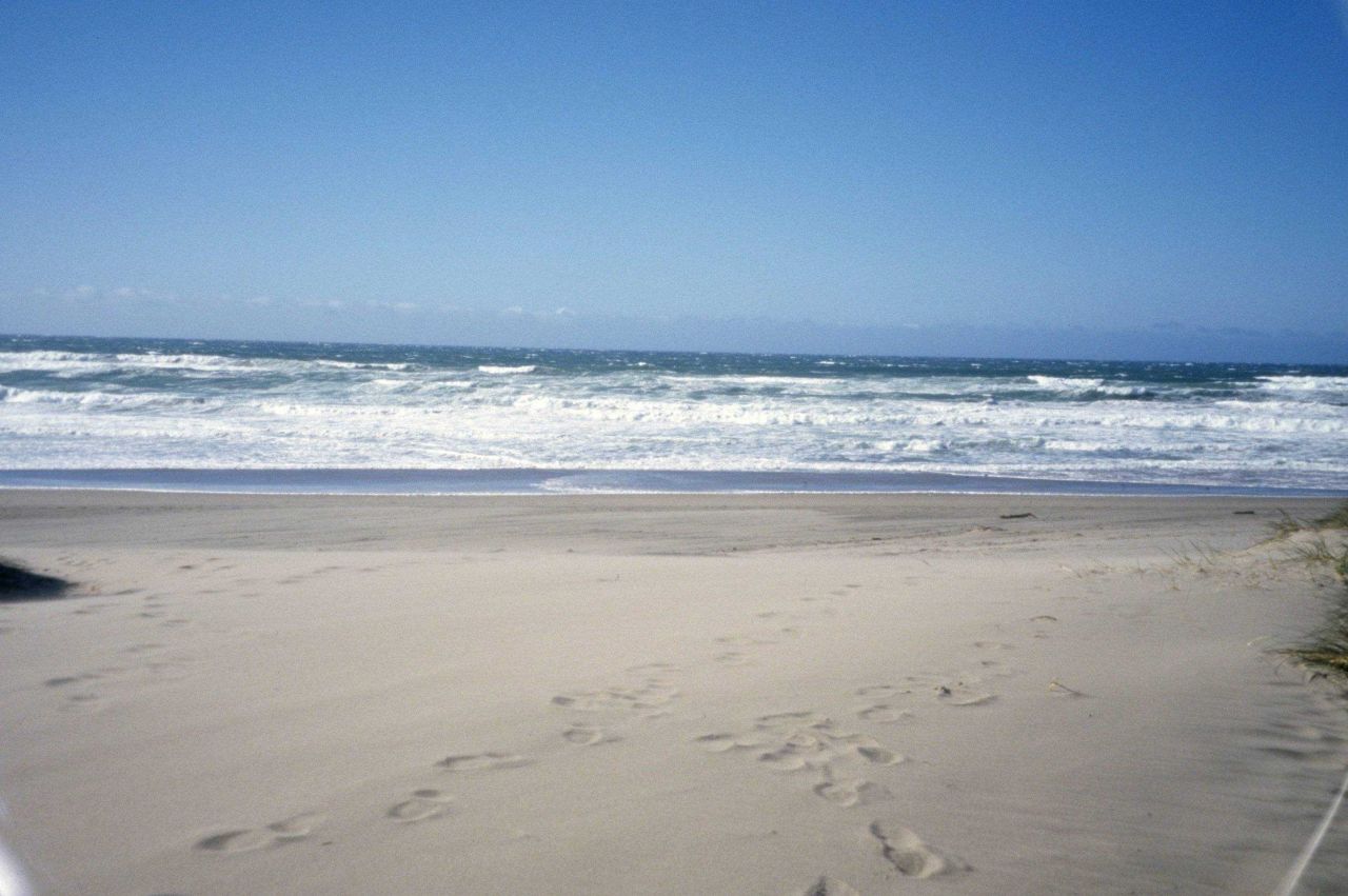 Point Reyes Great Beach Photo