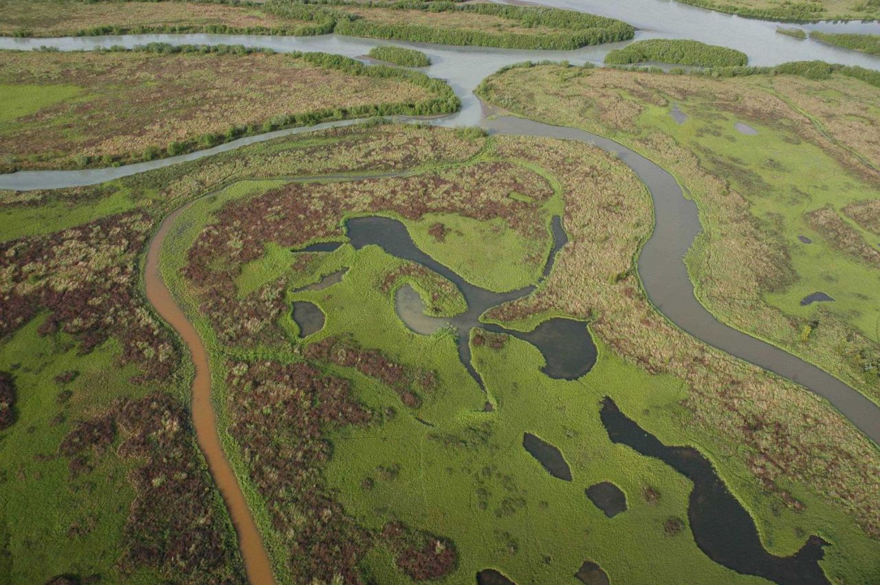 Aerial photograph Photo