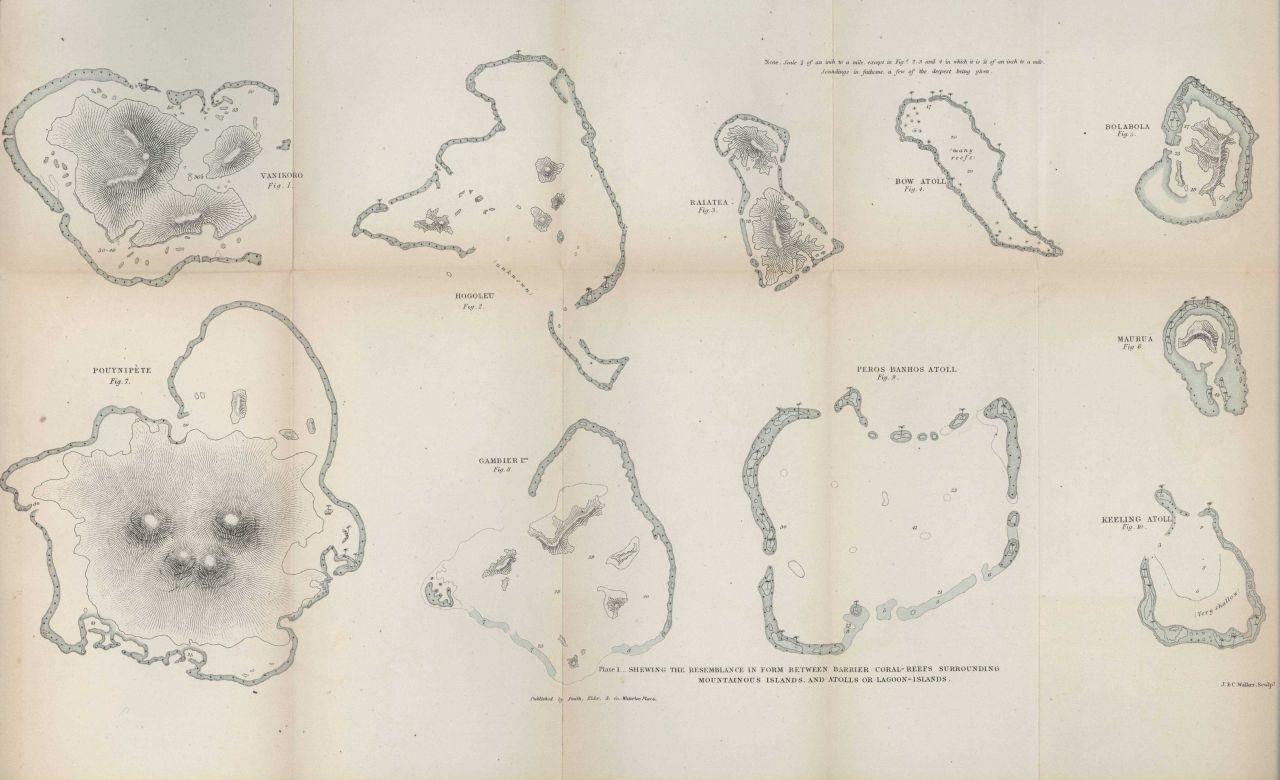 a development of charles darwin Darwin's theory of evolution charles darwin (1809 - 1882) charles darwin was an english naturalist who studied variation in plants and animals during a five-year voyage around the world in the . a development of charles darwin Darwin's theory of evolution charles darwin (1809 - 1882) charles darwin was an english naturalist who studied variation in plants and animals during a five-year voyage around the world in the .