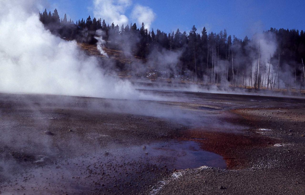 Porcelain Basin - Norris Geyser Basin Photo