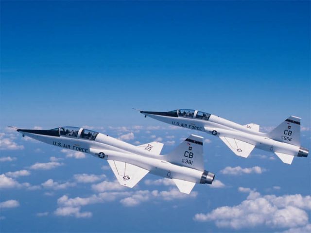 T-38 Talon - Training Talons Picture