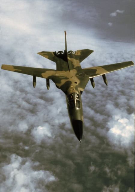 F-111 Aardvark - F-111 Aardvark Picture