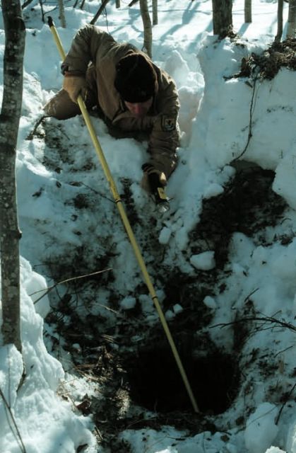 Biologist Tranquilizes a Denning Black Bear Picture