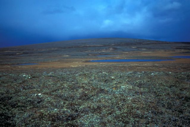 Lake Becharof Tundra and Blue Mountain Picture