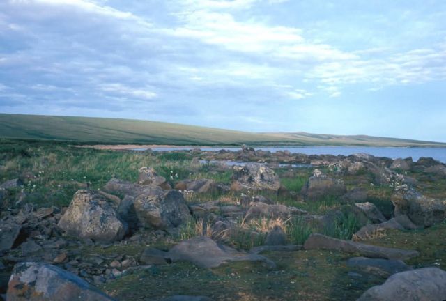 Imuruk Lake in Summer Picture