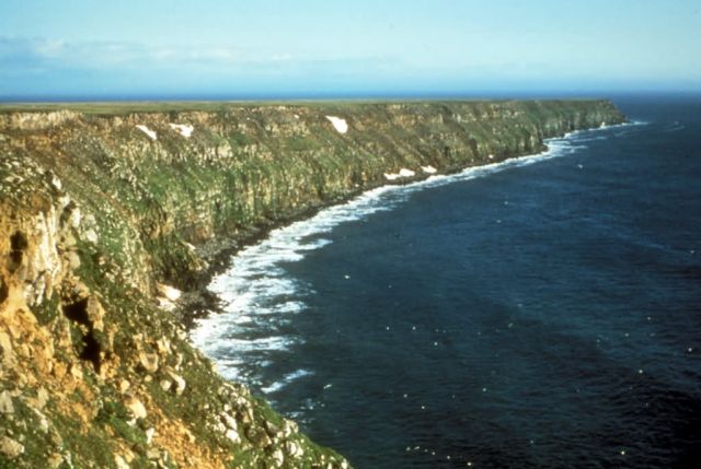 Nunivak Island's Bering Sea Cliffs Picture