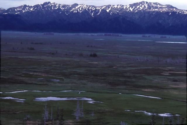 Kayak Island Prince William Sound Picture