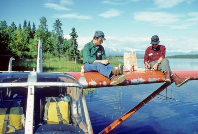 Lunch on a Wing Picture