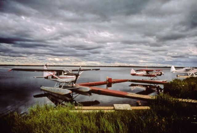 Three Floatplanes Docked Picture