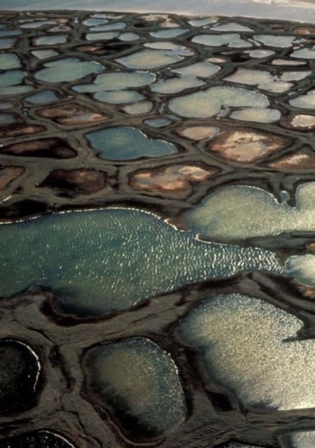 Polygons or Polygonal Ground in the Arctic Refuge Picture