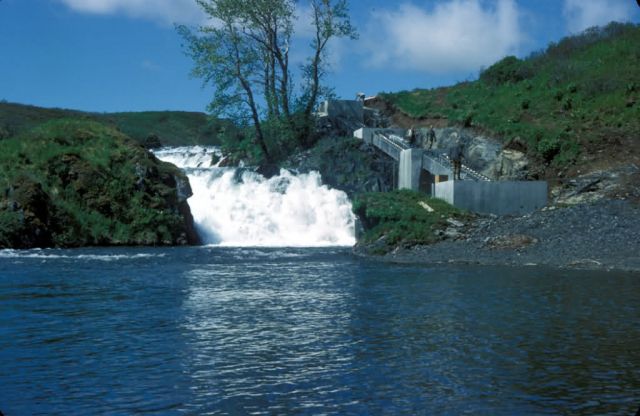Frazer Lake Fish Ladder and Falls Picture