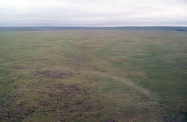 1002 Area: Tundra Picture