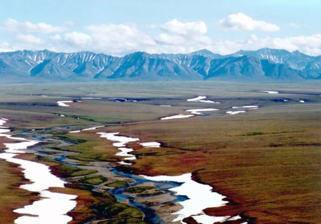 1002 Area and Brooks Range Mountains Picture