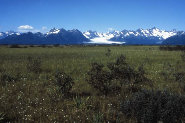 Sheridan Glacier Picture