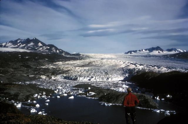 Tustumena Glacier Picture