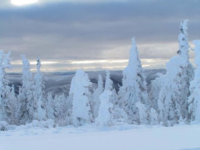 Dalton Highway in early winter Picture