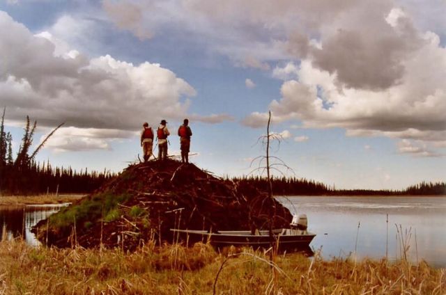 The Grand beaver lodge on Scoter Camp Lakes Picture