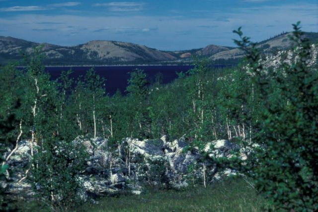 Sithylemenkat Lake Near Bettles Picture