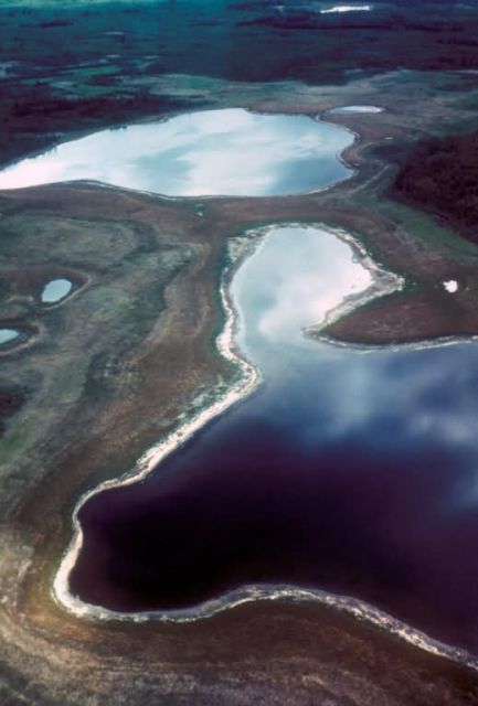 Yukon Flats Refuge Wetlands Picture