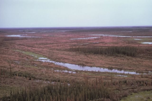 Yukon Flats Panorama Picture
