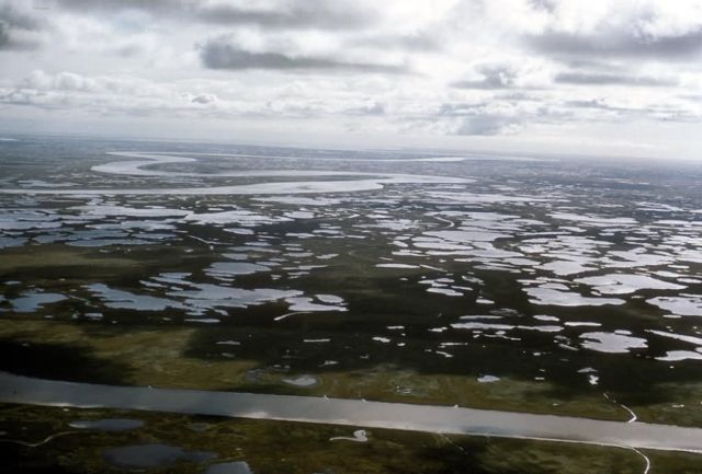Yukon Delta NWR Wetlands Picture