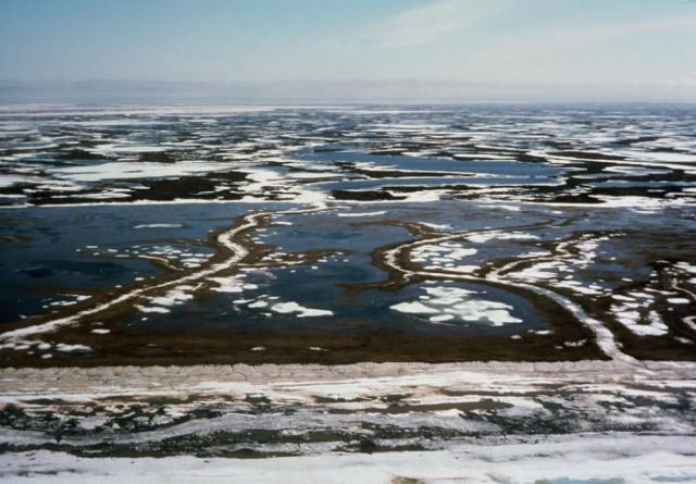 Yukon Delta - Aerial View Picture