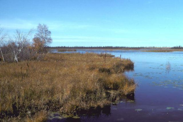 Yukon Flats Scenic View Picture