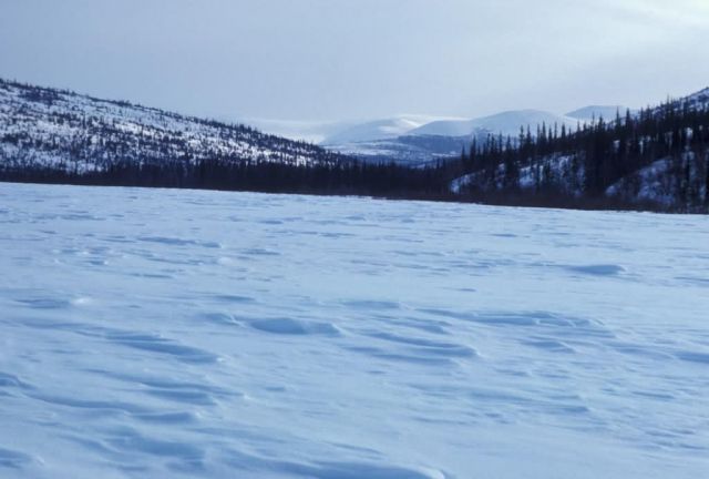 Koyukuk Refuge Frozen Lake Picture