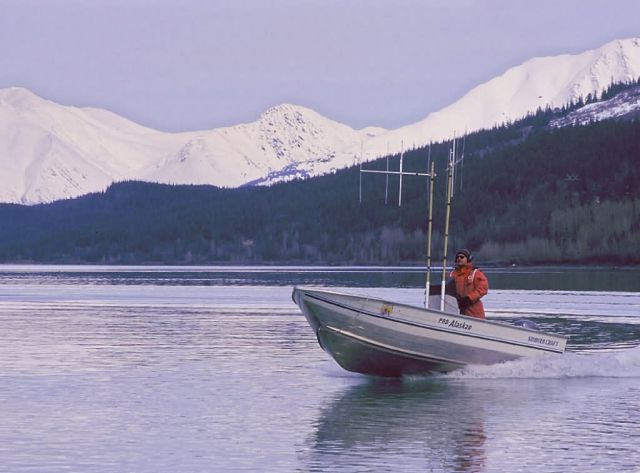 Tracking Fish in the Kenai Lake Picture