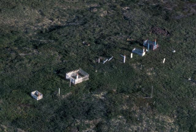 Graves on the Tundra South of Nillik Picture