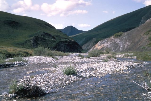 Mountain Stream Picture