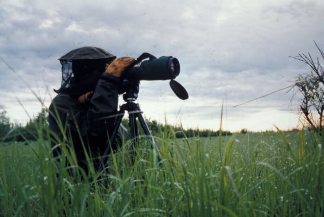 Spotting Scope Picture