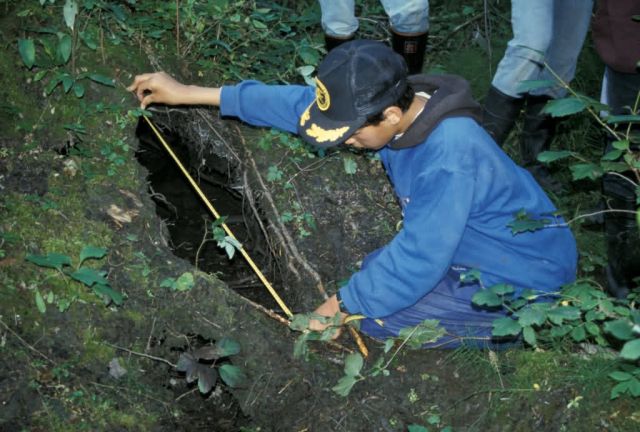 Summer Science Camp Measuring Bear Den Picture