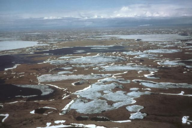 Yukon Delta Picture