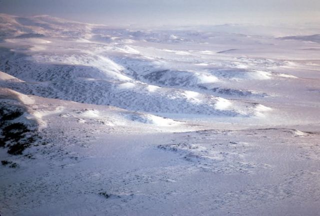 Purcell Mountains Picture