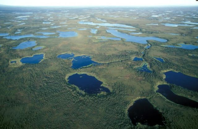 Selawik Refuge Wetlands Picture