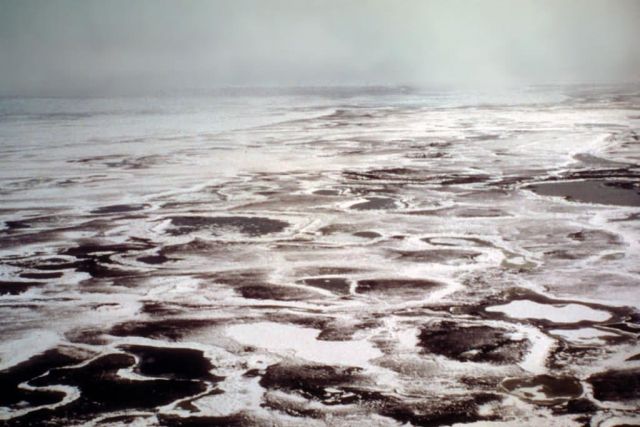 Yukon Delta Picture