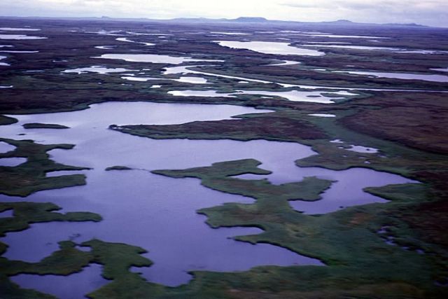 Hazen Bay Picture