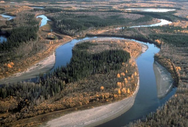 Yukon Flats River and Oxbows Picture