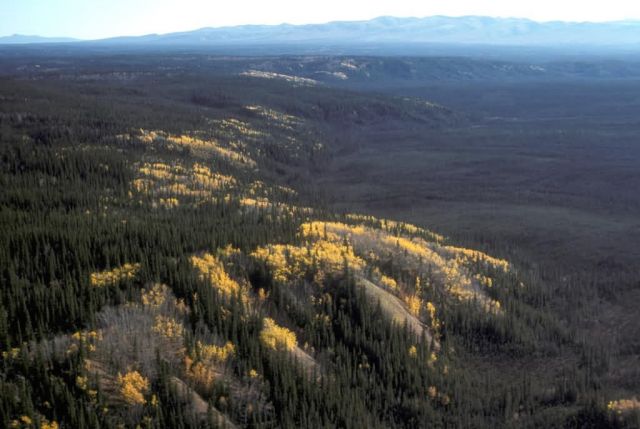 Burman Lake Area Picture