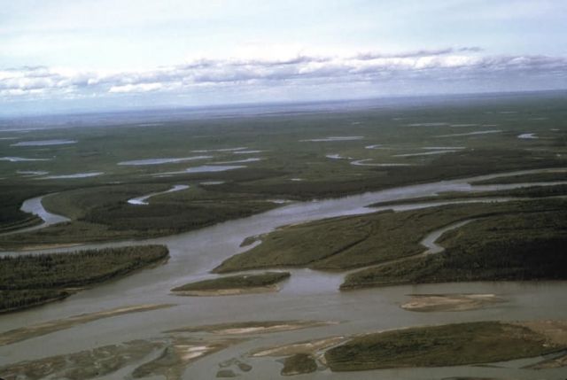 Yukon Flats Refuge Wetlands Picture
