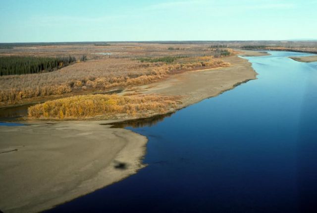 Yukon River Fall Colors - Aerial View Picture