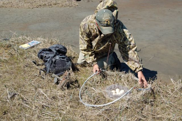 Avian Influenza Sampling Project 2006 Picture