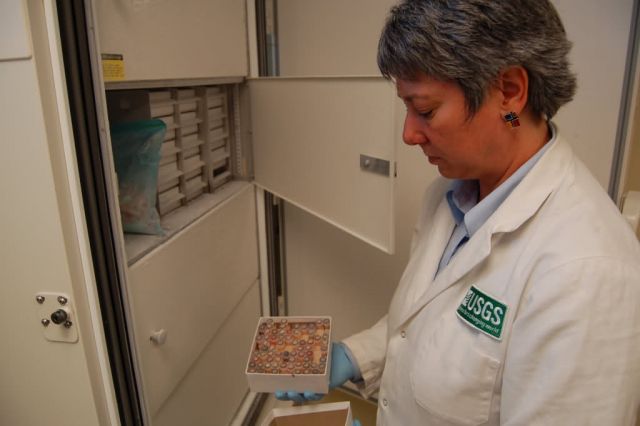 Avian Influenza Sampling Project 2006 Picture