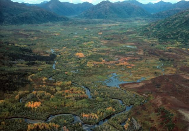 Autumn at the Togiak Refuge Picture