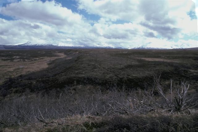 Becharof Lake Area Picture