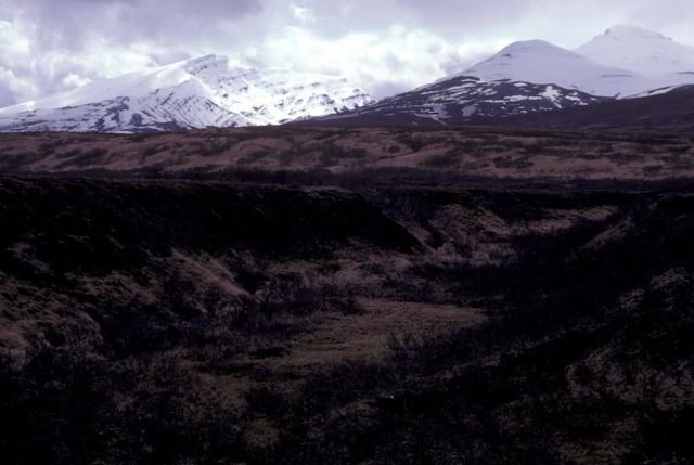 Becharof Lake Area Picture