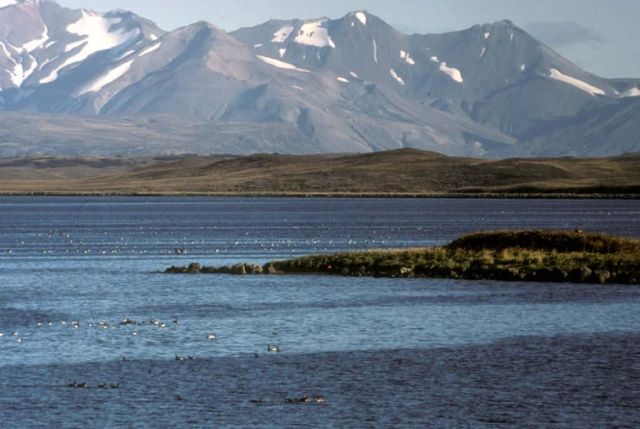Moffet Bay Picture